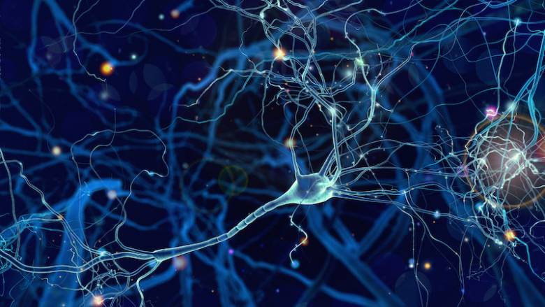 Cara Otak Membentuk Ingatan Sensorik